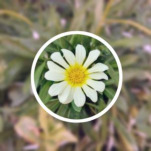 手机看片一区二区
