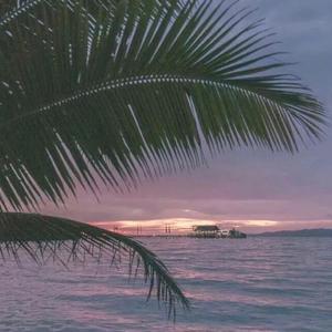 手机看片一区二区
